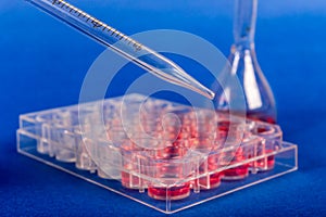 Cultivation of stem cells in sterile box.