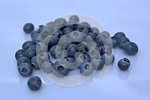 Freshly picked giant black bilberries photo