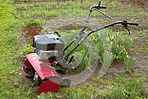 Cultivator photo