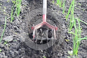 Cultivator effective manual tool for tillage.