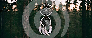 Dreamcatcher Odyssey: Journeying Through Dreamscapes photo