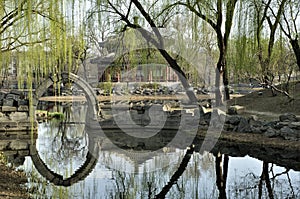 Culture of Chinese Horti photo
