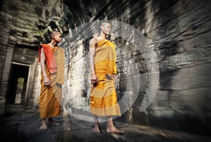 Culture Contemplating Monk Buddhism Traditional Concept