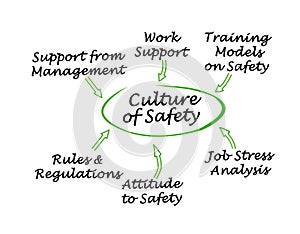 Culture of Safety