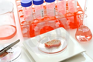 Cultured meat making image