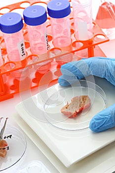 Cultured meat making image photo