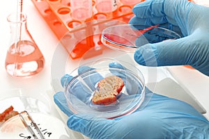 Cultured meat making image