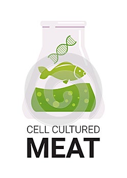 cultured meat in test tube made from fish cells artificial lab grown meat production concept