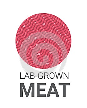 cultured raw red meat made from animal cells artificial lab grown meat production concept