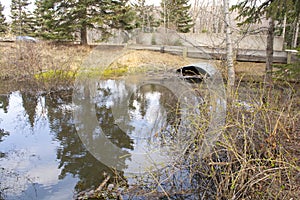 Culvert Pipe Under Road From Stream Oxbow in Park