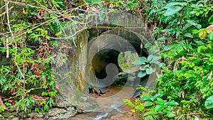 Culverts made to drain water photo