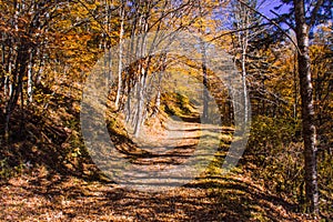 Cumberland Gap Overlook photo