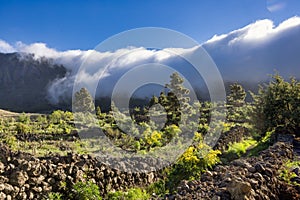 Cumbre Nueva with rolling clouds waterfall, La Palma Spain photo