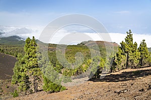 Cumbre Vieja Lava Landscape, La Palma, Spain photo