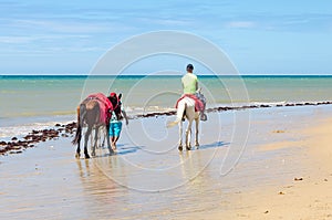 Family of horses rides for rental in Cumbuco