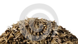 Cumin or caraway seeds falling and piling up isolated on white