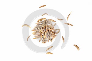 cumin, caraway seeds macro