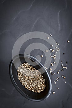 Cumin and Coriander Seeds in Black Bowl over Slate Overhead View