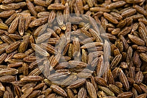 Cumin seed photo