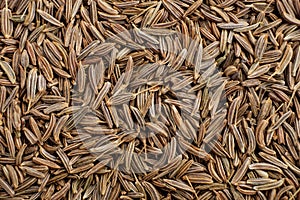 Cumin seed dry aromatic spice, background