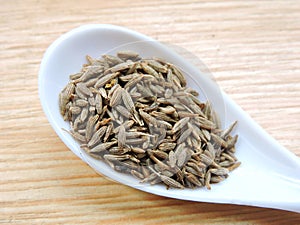 Cumin seeds in isolated background photo