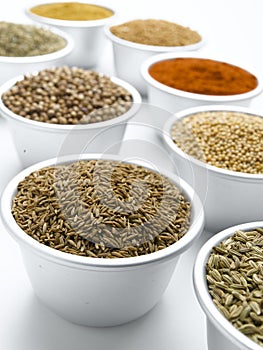 Cumin Seed