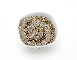 Cumin Seeds photo