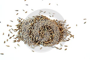 Cumin seeds photo