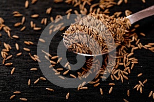 Cumin Seeds on black background