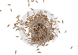 Cumin seeds or caraway isolated on white background