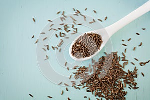 Cumin seeds or caraway in white spoon on blue table