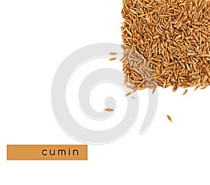 Cumin seeds isolated on white closeup. Creative concept in the shape of a square