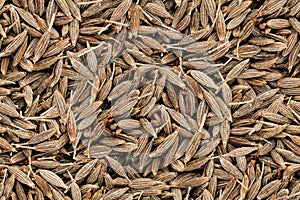 Cumin Seeds Seamless Texture