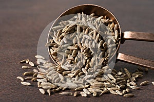 Cumin Seeds Spilled from a Teaspoon photo