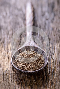 Cumin seeds in spoon on wooden table