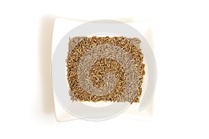Cumin seeds in square white bowl