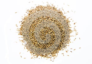 Cumin Seeds