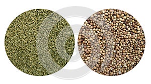 Cummin and coriander seeds