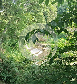 Cummins falls in Tennessee