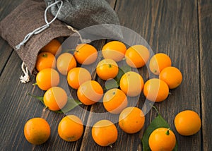 Cumquats, kinkans or fortunella orange fruits