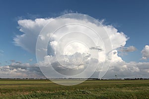 Cumulonimbus capillatus