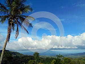 Cumulonimbus cloud, blue sky and coconut tree