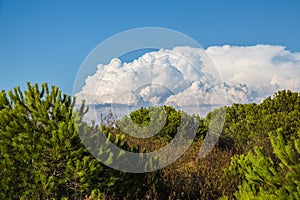 Cumulonimbus Cloud, Spain