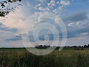 Cumulonimbus cloud with sun rays and rain falling out on meadows in