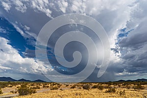 Cumulonimbus cloud from a thundershower in the Arizona desert