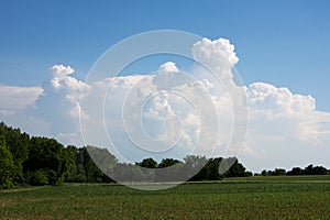 Cumulonimbus clouds