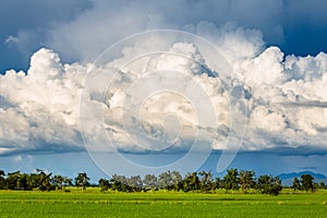 Cumulonimbus Clouds Over Rice Field