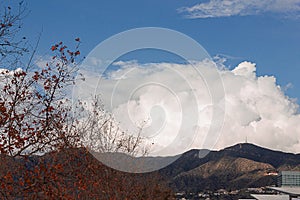 Cumulos, nimbus, clouds with angeles crest mountains, buildings, and sycamore tree photo
