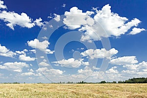 Cumulus on aero blue sky above harvested grain goldenrod color field