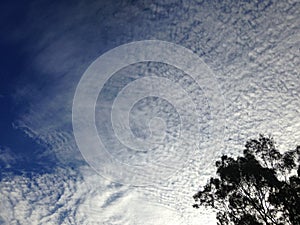 Cumulus Cloud photo
